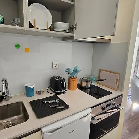 A Proa Do Moliceiro Canal Da áurea *